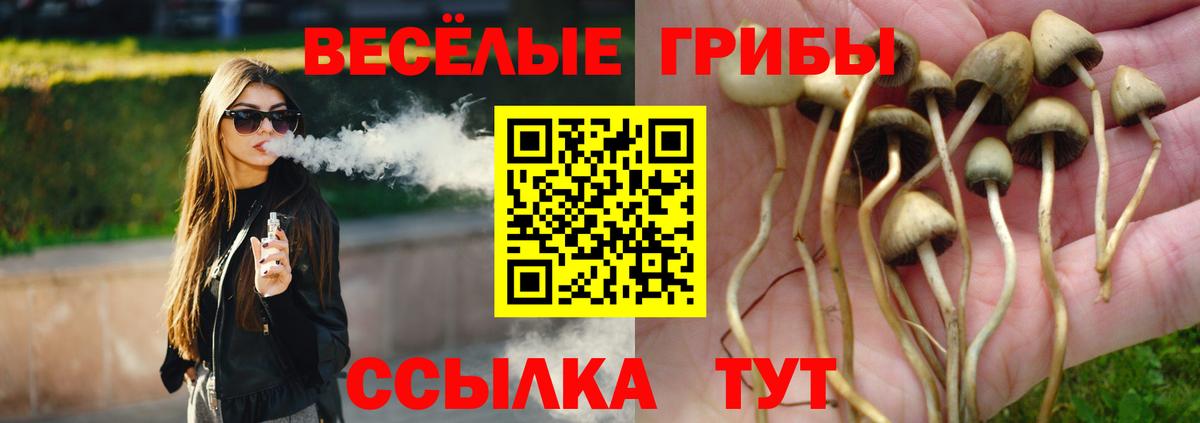 Димитровград  цены наркотик  Галлюциногенные грибы мухоморы  Вход с VPN  Галлюциногенные грибы прущие грибы 